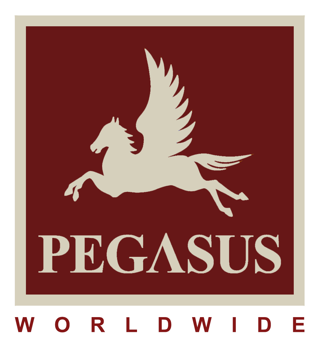 Sarl PEGASUS WORLDWIDE